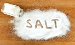 Salt Factory