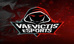 Vaevictis Esports