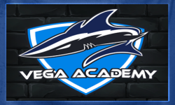 Vega Academy