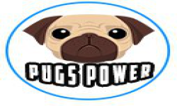 Pugs Power