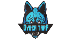 Cyber Trap [PE]