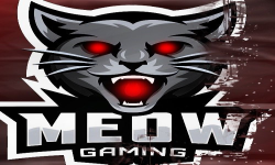 MEOW-Gaming