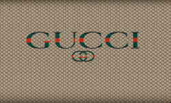 Gucci Team