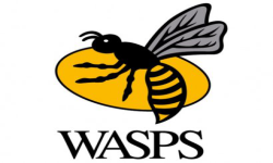 Rᚱᛘᚱᚱᛘᚱage Wasps Richᚱᛘᚱᚱᛘᚱ