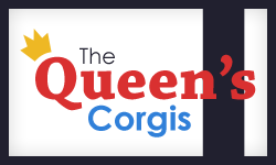 Queen's Corgis