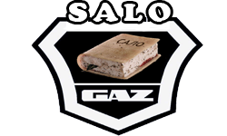 Salo n Gaz