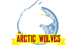 THE ARCTIC WOLVES