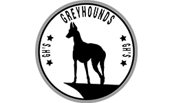 Greyhound's