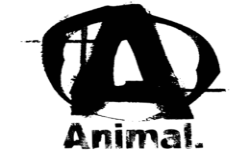 ANIMAL ANIMAL CLUB