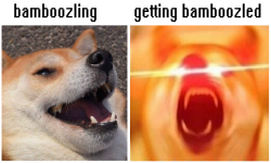 THE BAMBOOZLERS