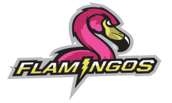 Flamingos