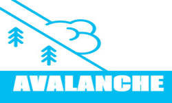 Team AVALANCHE