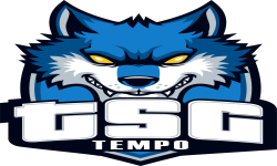 Tempo Style Gaming