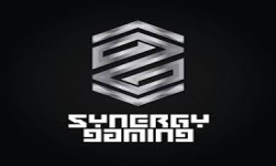 Team.Synergy.Gaming