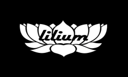 lilium