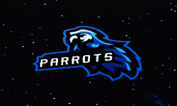 Team of Parrots