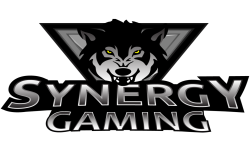 Synergy GaminG