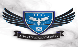 Team Evolve  Gaming 