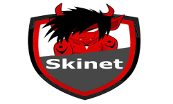 Skinet