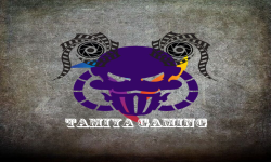 Tamiya Gaming