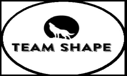 TEAM SHAPE