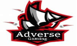 Adverse Gaming