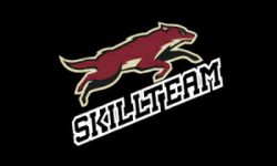 SkillTeam