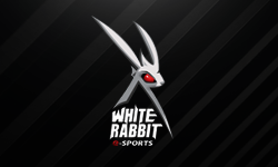 White Rabbit ~ newb