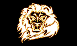 GOLDEN LIONS