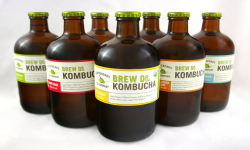 DR.KOMBUCHA