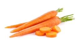 CarrotTeam