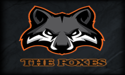 Team Foxes 