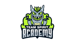 Team Spirit Academy