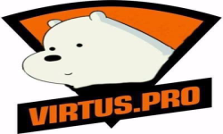 Virgos Pro