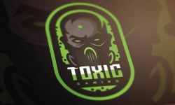 Toxic Gaming