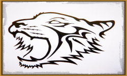 Shadow of  Tigers