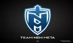 MetaTeam