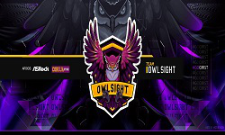 Owl Sight E-sports