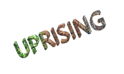 Team Uprising