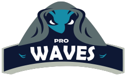 WAVES.PRO