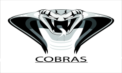 Team Cobras