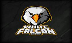 White Falcon