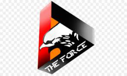   THE  FORCE