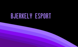 Bjerkely esport