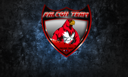 FALCON.TEAM