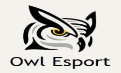 Owl Esport