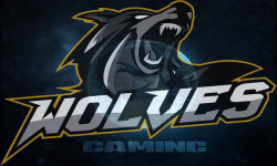 Wolves Gaming