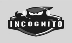 Team Incognito