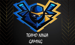 TM Ninja