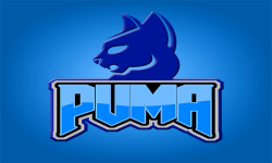 Puma Games